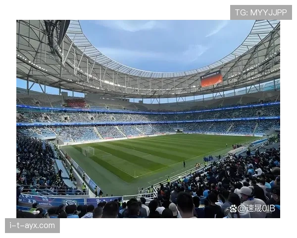 莫斯科球场迎国际赛事，球迷热情燃动赛场