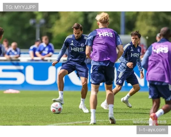 沙尔克战术革新显成效：新赛季强势崛起重塑竞争力