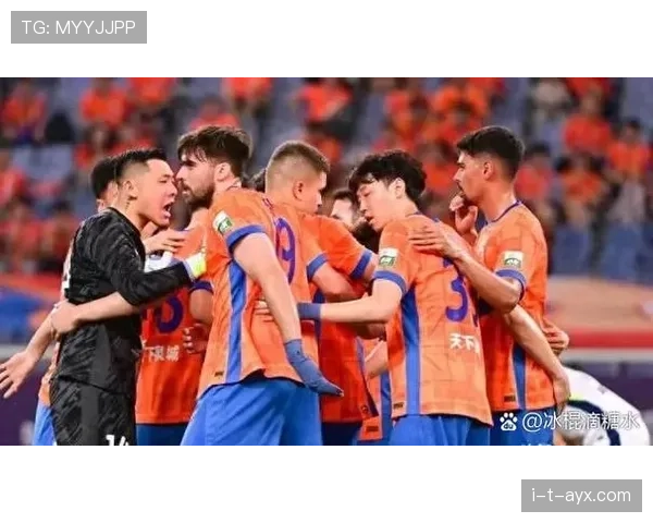 新赛季阵容调整完成,球队竞争力增强